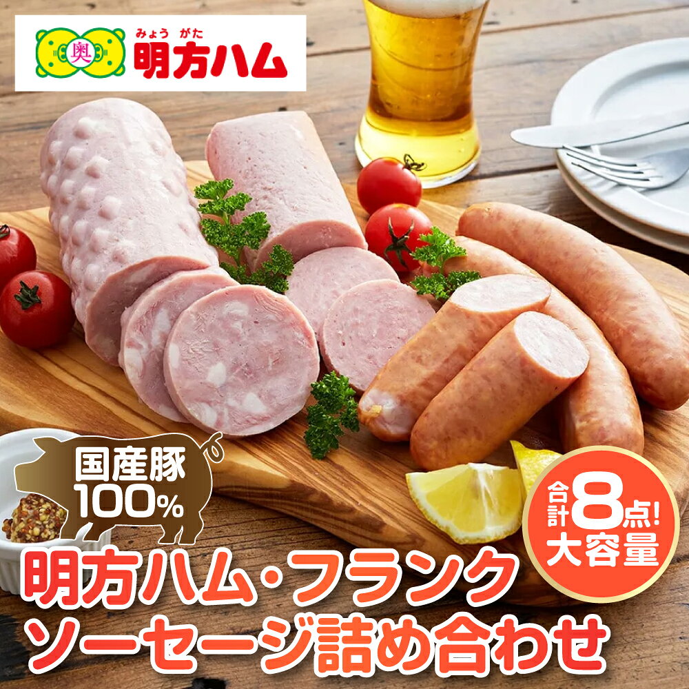 【ふるさと納税】明方ハム明方ハム Cセット / ハム ソーセージ フランク ウインナー 食べ比べ 食品 肉加工品 加工品 セット 詰め合わせ 冷蔵 岐阜県 手土産 お弁当 お中元 BBQ おかず おやつ ブランド 人気 おすすめ ふるさと 明宝