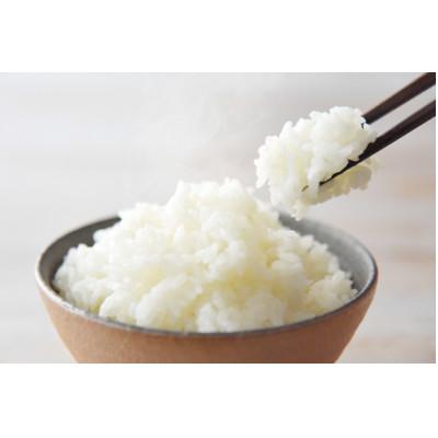 ふるさと納税 富山県 富山のお米「富富富(ふふふ)」 5kg |  | 02