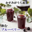 【ふるさと納税】かすみがうら市産　飲むブルーベリー　1L×2本【1481666】