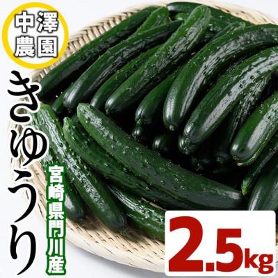 ふるさと納税 門川町 宮崎県産きゅうり2.5kg | 