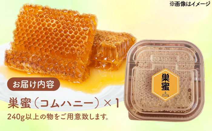 純粋ハチミツ 巣蜜（コムハニー） 瑞浪市 / honey shop Bee farm asano 蜂蜜 はちみつ [AZBT017]