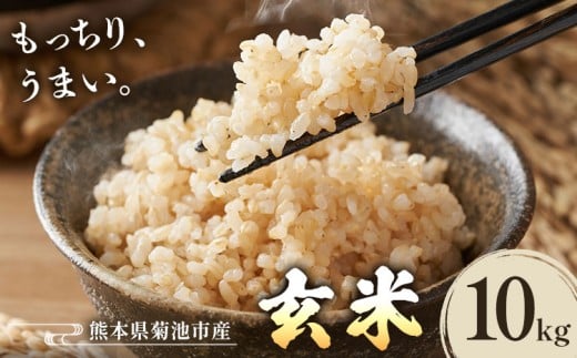 熊本県菊池産 玄米 10kg お米 ヴァリアス株式会社《30日以内に出荷予定(土日祝除く)》 菊池市産 熊本県産 九州産 送料無料