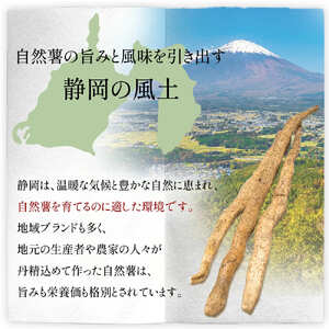 【7日以内発送】自然薯 とろろ 100 g × 8 パック とろろ 尾白弁当