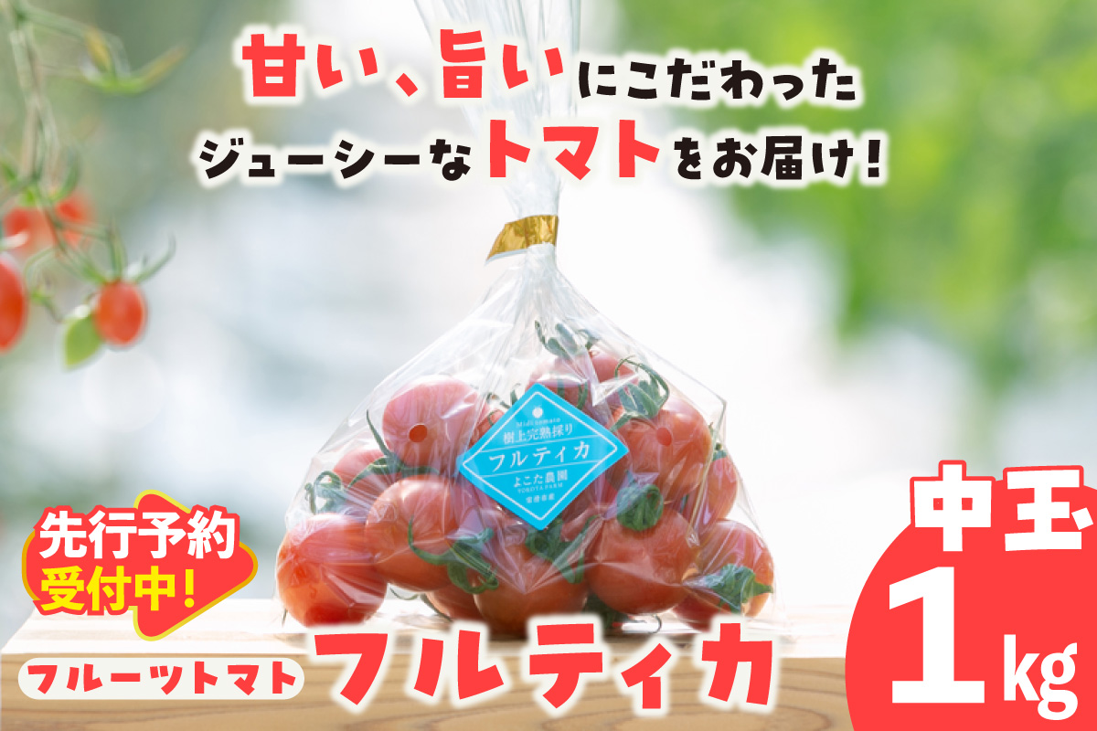 【先行予約】【2027年1月中旬以降発送】フルーツトマト　中玉フルティカ1kg│ 野菜 トマト 常滑市
