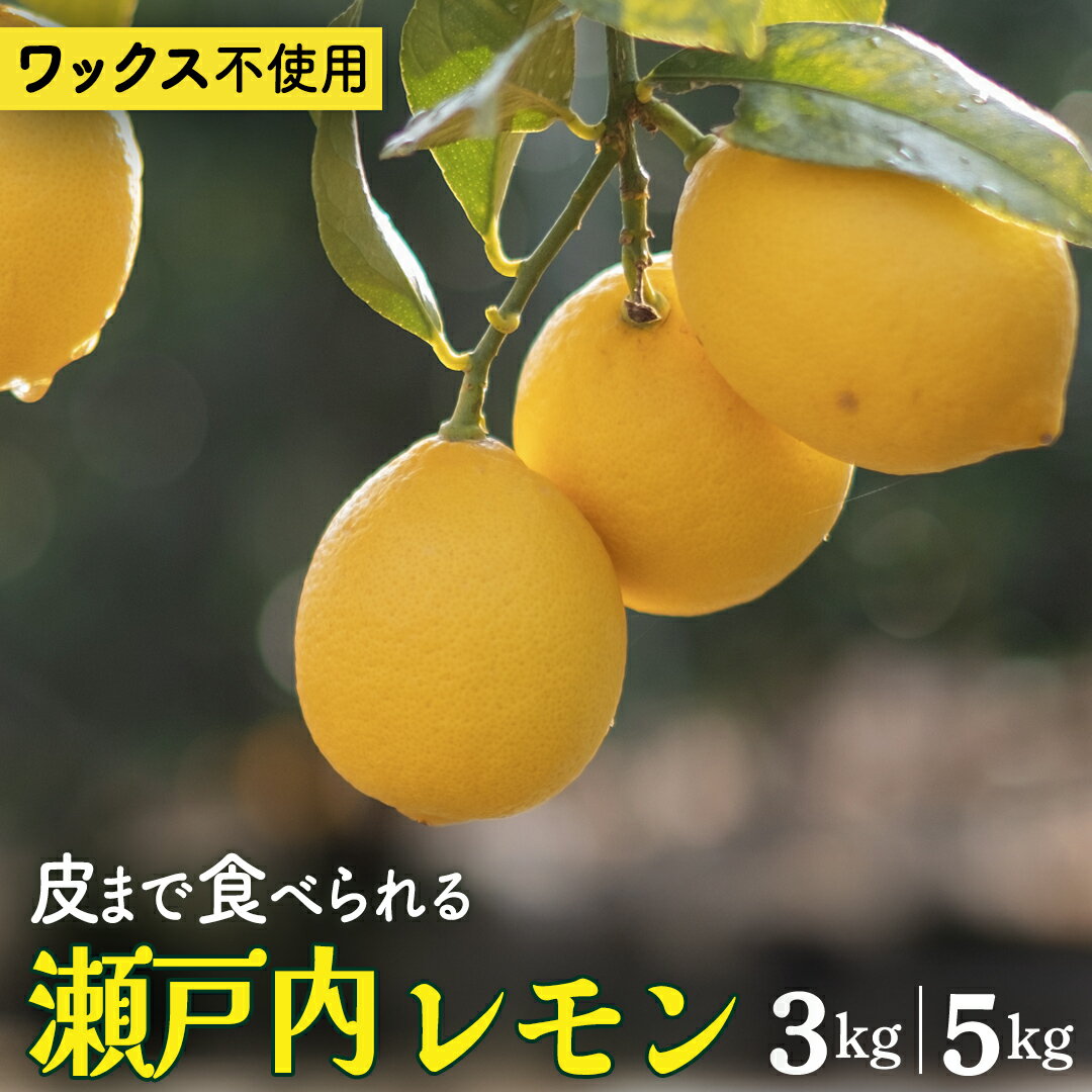 【ふるさと納税】せとうちレモン 約3kg/約5kg 12～2月発送 瀬戸内 国産 レモン 瀬戸内レモン 檸檬 柑橘 防腐剤 ワックス 不使用 皮まで丸ごと食べられる 広島県 大崎上島町 離島 産地直送 岩崎農園