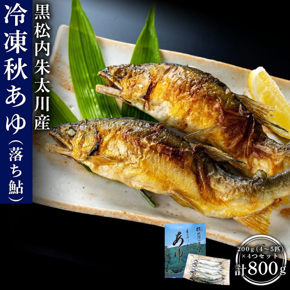 【ふるさと納税】黒松内朱太川産 冷凍秋あゆ（落ち鮎）セット（200g×4つ 計800g）【数量限定】天然 あゆ 秋鮎 冷凍 落ち鮎 真空パック さび鮎 北海道ふるさと納税 ふるさと納税 北海道 黒松内町 通販 ギフト 贈答品 贈り物