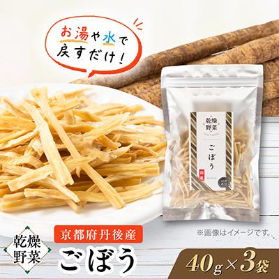 ふるさと納税 与謝野町 京都府丹後産【ごぼう】乾燥野菜　3袋　京都府与謝野町 誠武農園のおいしい国産野菜　食事に健康プラス♪