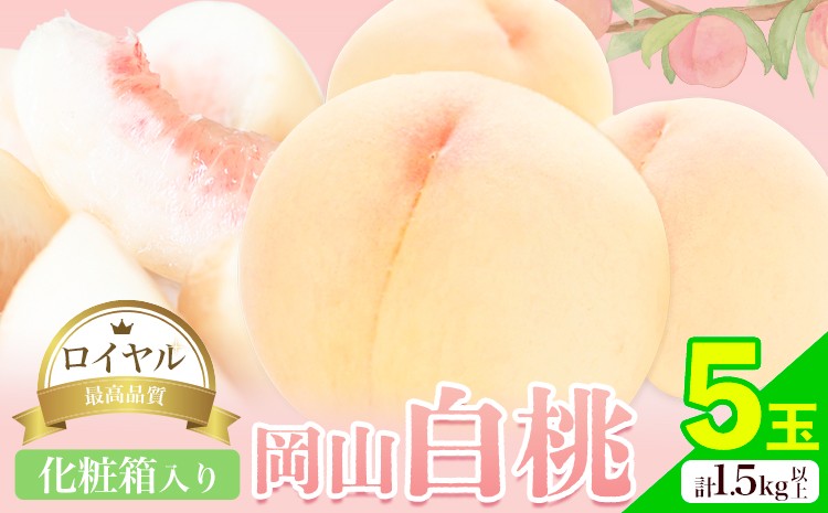 
                  【2027年先行予約】岡山白桃 5玉 (1.5kg以上) 等級ロイヤル 化粧箱入り 株式会社山博 (中本青果)《2027年7月上旬‐8月中旬頃出荷》岡山県 笠岡市 桃 もも フルーツ 旬 果物 国産 岡山県産 送料無料 冷蔵 化粧箱【配送不可地域あり】
                
