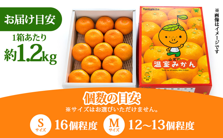 【３回定期便】山北温室みかん1.2kg - 秀品 果物 くだもの フルーツ 柑橘 蜜柑 お歳暮 ギフト 産地直送 送料無料 小玉大玉 国産 品種 御礼 お礼 高知県 香南市 Wku-0060