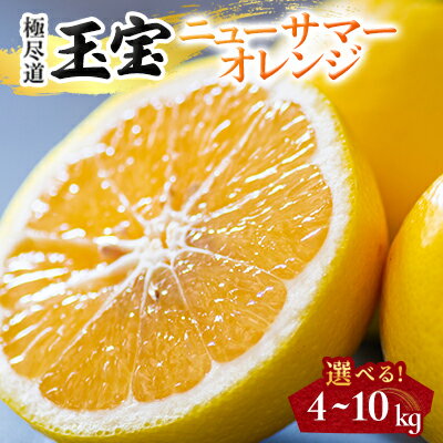 【ふるさと納税】【愛媛名産】玉宝ニューサマーオレンジ　4kg / 5kg / 10kg_ みかん ニューサマーオレンジ 玉宝 愛媛のみかん 日向夏 小夏 柑橘 果物 くだもの フルーツ 美味しい 酸味 やさしい甘み 愛媛 ご当地 愛媛県 八幡浜市 人気 送料無料 【G1510858】