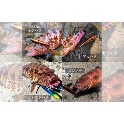 ふるさと納税 飯塚市 RUDIE‘Sの魚極ペン100(25g)セレクト3個セット 釣り具 ルアー |  | 02