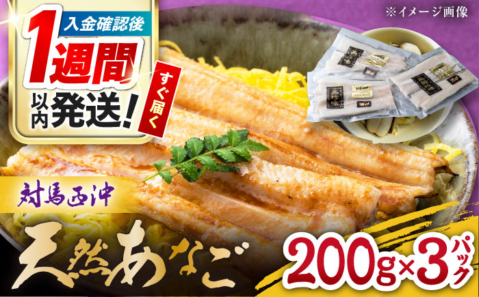 【1週間以内発送】対馬産 西沖あなご 200g×3パック《対馬市》【保家商事】 あなご 穴子 アナゴ 海鮮 海産物 魚介 [WAA005] スピード発送 最速発送 最短発送