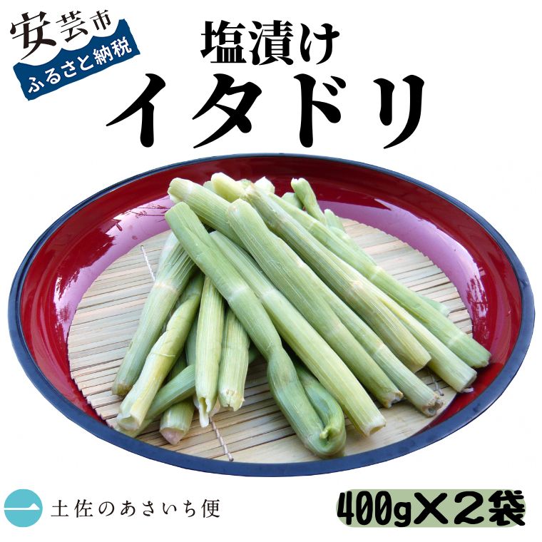 【ふるさと納税】塩漬けイタドリ(400g×2袋)　高知県安芸市　土佐のあさいち便　国産　山菜　イタドリ　春の山菜　煮物　炒め物　漬物　酢の物　ちらし寿司　郷土料理にも！
