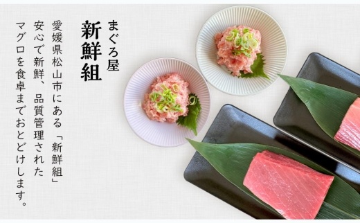 【1週間程度で発送】「ねぎとろ」 まぐろ 鮪 ねぎとろ 250g×5パック （1.25kg）魚 魚介 魚介類 加工品 加工 惣菜 愛媛県松山市 愛媛県 松山市 愛媛 松山 冷凍 冷凍便 冷凍配送 冷凍