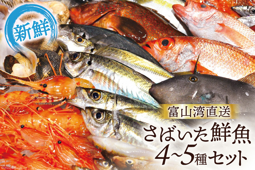 
[№5313-0008]魚 富山湾直送 さばいた鮮魚セット 4～5種 旬 新鮮 鮮魚 刺身 詰め合わせ 産地直送 冷蔵/くろべ漁業協同組合 魚の駅「生地」/富山県 黒部市
