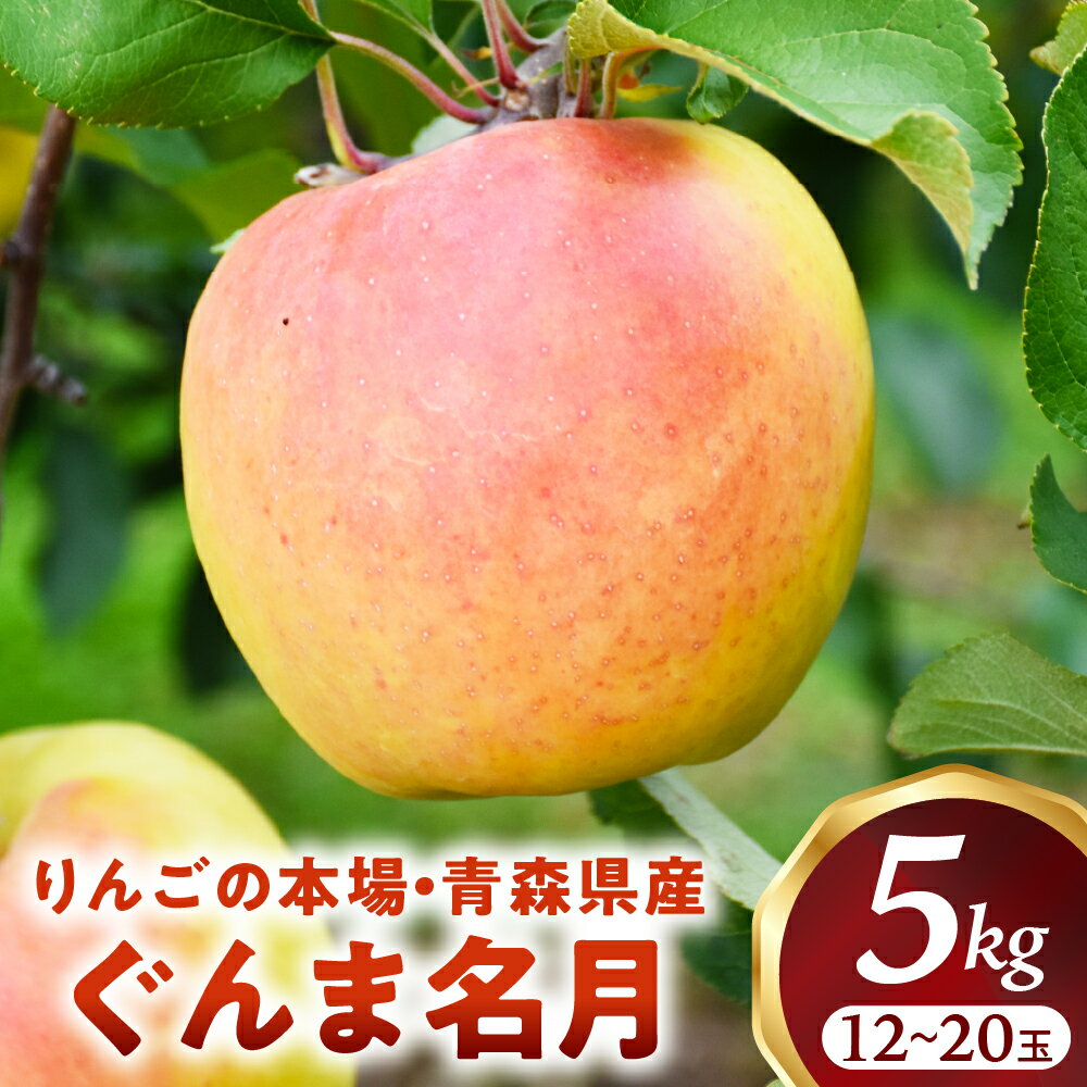 【ふるさと納税】 青森りんご【ぐんま名月】約5kg（12〜20玉）【2025年産・先行予約】★2025年11月上旬〜12月下旬頃まで発送予定★りんご 林檎 フルーツ 果物 果実 青森 青森県 青森県産 三戸 三戸町 ギフト プレゼント 産地直送 農家直送 ふるさと 送料無料