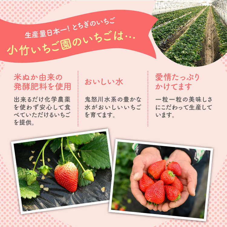 満足3種食べ比べセット（ミルキーベリー、スカイベリー、とちあいか）400g×2パック 800g｜先行予約 数量限定 いちご  ※2027年1月～発送_イメージ3