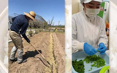【思いやり型返礼品】カイセイ　山形県産 秘伝豆使用 秘伝豆ごはんの素 2合用 8袋 F2Y-5497