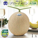 【ふるさと納税】【毎月定期便】アローマメロン(山等級) 1玉 全6回【配送不可地域：離島・北海道・沖縄県】【4012999】