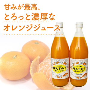 みかん ジュース 選べる 1000ml×6本 青島 ミカン 柑橘 蜜柑 ビタミン おいしい 果樹園 直送 甘い 有機肥料 テロワール オレンジジュース オレンジ みかん いたくら農園 静岡県 牧之原市