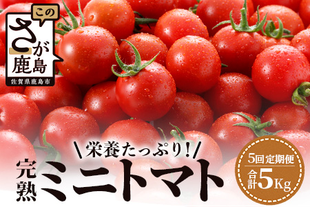 【5回定期便】【先行受付】2027年1月より順次発送予定 完熟ミニトマト 1kg 農家直送 佐賀県鹿島市 たにぐちファーム Ricotomato（リコトマト）～とりこになるトマト～G-27