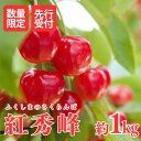 【ふるさと納税】No.1803さくらんぼ(紅秀峰)約1kg【2025年発送】