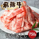 【ふるさと納税】《訳あり》飛騨牛 切り落としスライス 750g 焼肉 牛肉 黒毛和牛 和牛 すき焼き 焼き肉 訳アリ わけあり ワケアリ 不揃い 部位おまかせ 煮物 飛騨古川［Q2526］18000円