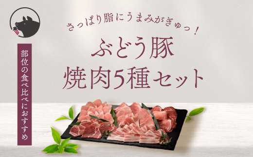 【希少】ブランド豚「綾ぶどう豚」 焼肉・バーベキュー 食べ比べセット 740g 【宮崎県産 綾町産 ぶどう豚  豚肉 国産 銘柄豚 ポーク 豚ロース 肩ロース 豚バラ 小間切れ 豚こま もも 焼肉 BBQ キャンプ ギフト プレゼント お歳暮 お中元 母の日 父の日 冷凍 小分け 送料無料】