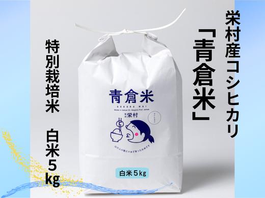 
            《令和７年産》長野県栄村産コシヒカリ「青倉米」特別栽培米白米５kg
          