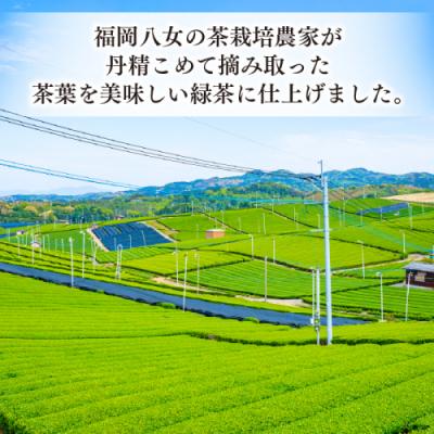 ふるさと納税 新宮町 福岡八女茶のペットボトル.緑茶(500ml×24本)【八女茶】.AD226 |  | 01