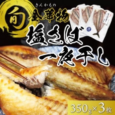 宮城県石巻産【金華物 塩さば一夜干し】350g×3枚セット(CAS冷凍・養殖)