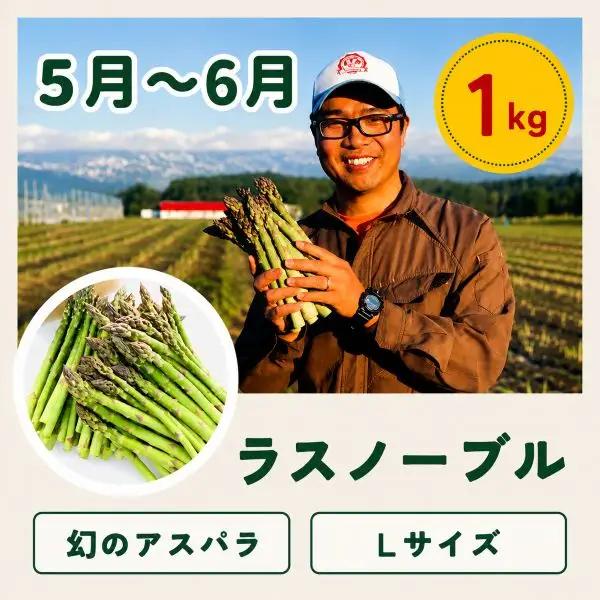 旬の野菜定期便 3回 【令和9年産予約受付】 美瑛の四季 百合（小） 野菜