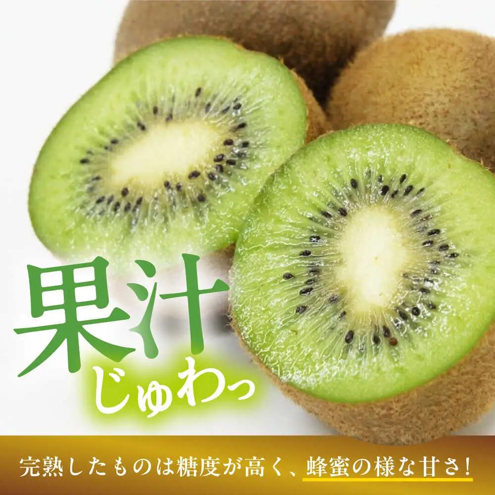 キウイ 訳あり 約2kg [AGBN051] キウイ