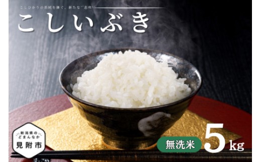 
                  令和7年産 新潟県産 こしいぶき 5kg 無洗米 米 お米 白米 おすすめ 人気 こめ コメ 新潟 見附 見附市 7年 2025年産 ふるさと納税 諸長
                