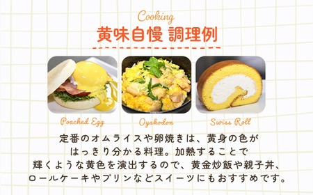 ＜SUPERIOR TASTE AWARD 受賞＞黄味自慢 (約10kg) ふるさと納税 福知山市 卵 玉子 たまご 生卵 タマゴ 温泉卵 卵かけご飯 TKG 卵料理 お菓子づくり オムライス プリン
