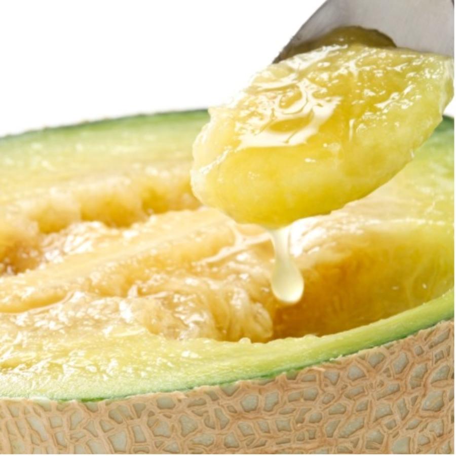 ＜長洲農園＞旬の時期にお届け 品質優良賞受賞 茨城県産 4種のメロンの定期便