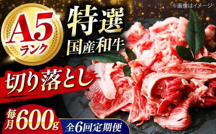 
            【全6回定期便】国産和牛切落し 600ｇ 肉 お肉 国産 和牛 切り落とし 冷凍 ギフト ストック A5ランク 肉 お肉 国産 和牛 牛肉 切り落とし 冷凍 ギフト ストック 大阪府高槻市/株式会社ミートモリタ屋 [AOAI024]
          