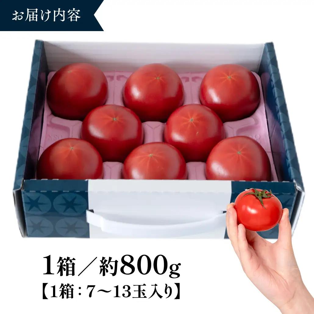 《 2027年 収穫分 》2～6月配送 スーパーフルーツトマト てるて姫 小箱 約800g × 1箱 【7～13玉/1箱】 糖度9度以上 先行予約 フルーツトマト ブランドトマト 野菜 ギフト 贈答 