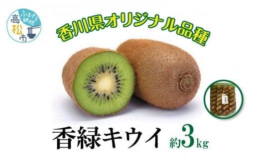 香緑キウイ　約3kg【2026年11月下旬～2027年2月下旬配送】 372013_T006-266J