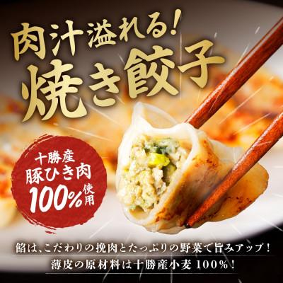 ふるさと納税 帯広市 十勝 豚丼ボール&ぎょうざセット(各1パック)秘伝のタレ付き 北海道産豚肉使用 北海道 帯広市 |  | 02