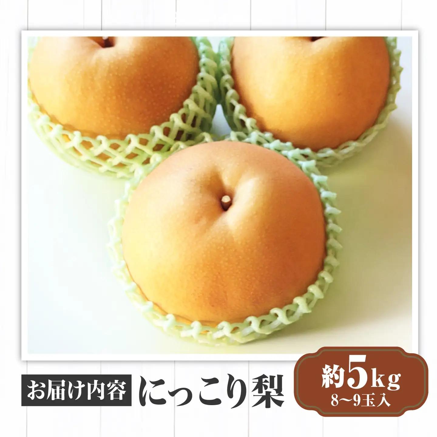 にっこり 梨 (約5kg/8～9玉入) なし ナシ 果物 フルーツ 三次市 / 西田農園[APDH001]