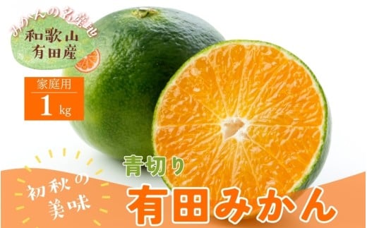 ＜9月中旬～＞【先行予約】有田育ちのご家庭用青切り有田みかん　1kg ※着日指定不可 ※沖縄・離島は配送不可 ※2025年9月中旬～10月中旬頃に順次発送予定　【ard207A】