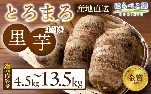 
                  《選べる容量》【粘りと甘みが段違い】里芋『とろまろ』土付き 4.5kg・H059-SKU
                