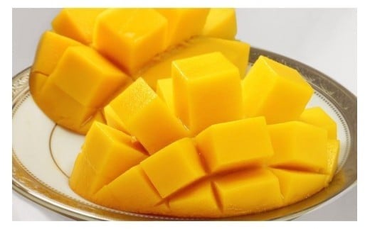 CZ011《先行予約2026年発送》【宮縁果樹園】宮古島産　奇跡のマンゴー　2kg　優品