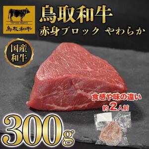 鳥取和牛 赤身肉 ブロック やわらか 300g KT010-023