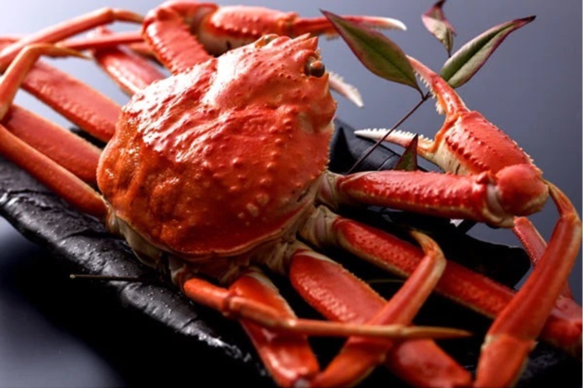 【厳選】茹で松葉蟹 8L(1300g前後)×1杯　★1月～2月お届け　OD00153_01