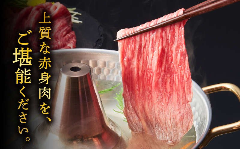 宮崎牛モモスライス(すき焼き用)計500g 肉 牛 牛肉 焼肉 国産_T009-0212