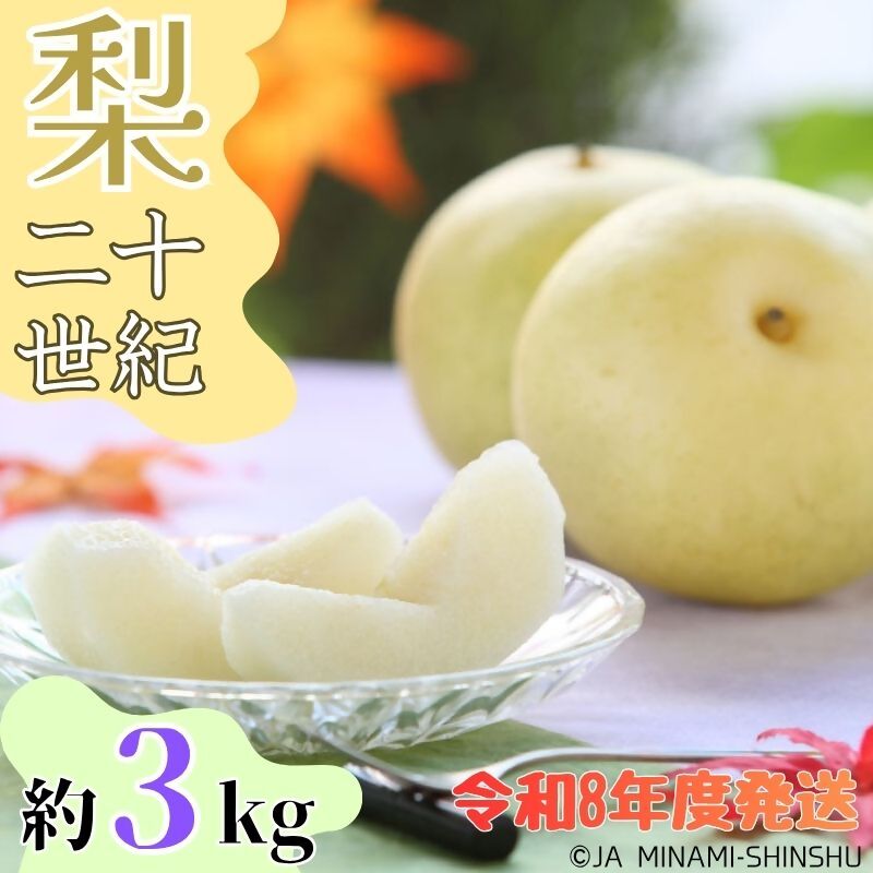 【南信州産】20世紀梨 太鼓判 約3kg　8玉～10玉　(令和8年度発送先行予約品)