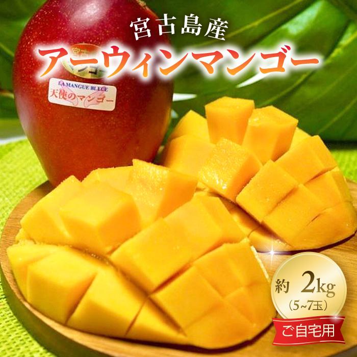 【ふるさと納税】《先行予約2026年発送》宮古島産アーウィンマンゴー 約2kg（5〜7個）【ご自宅用】「LA MANGUE BLEUE」農家直送（GZ003） | 家庭用 規格外 天使のマンゴー 数量限定 糖度14度以上 完熟マンゴー 特産 ご当地 お取り寄せ 送料無料 人気 沖縄 宮古島 南国