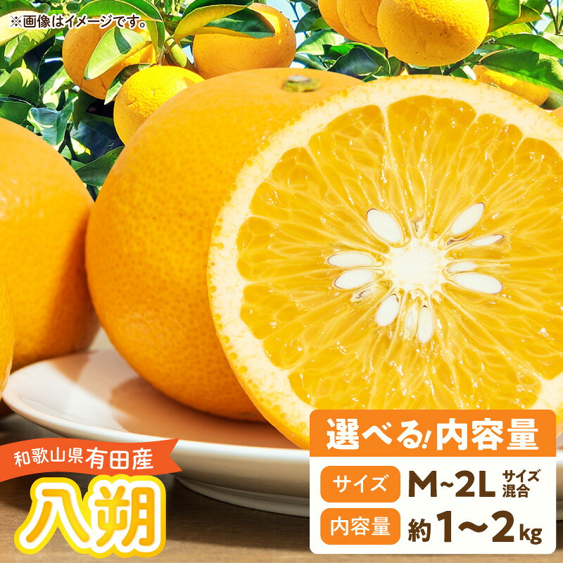 【ふるさと納税】【2027年先行予約】 はっさく 選べる 内容量 1kg 2kg M ～ 2L サイズ混合 和歌山県有田産 完熟 甘み 増す デザート おやつ 果物 柑橘 お取り寄せ 和歌山県 湯浅町 送料無料